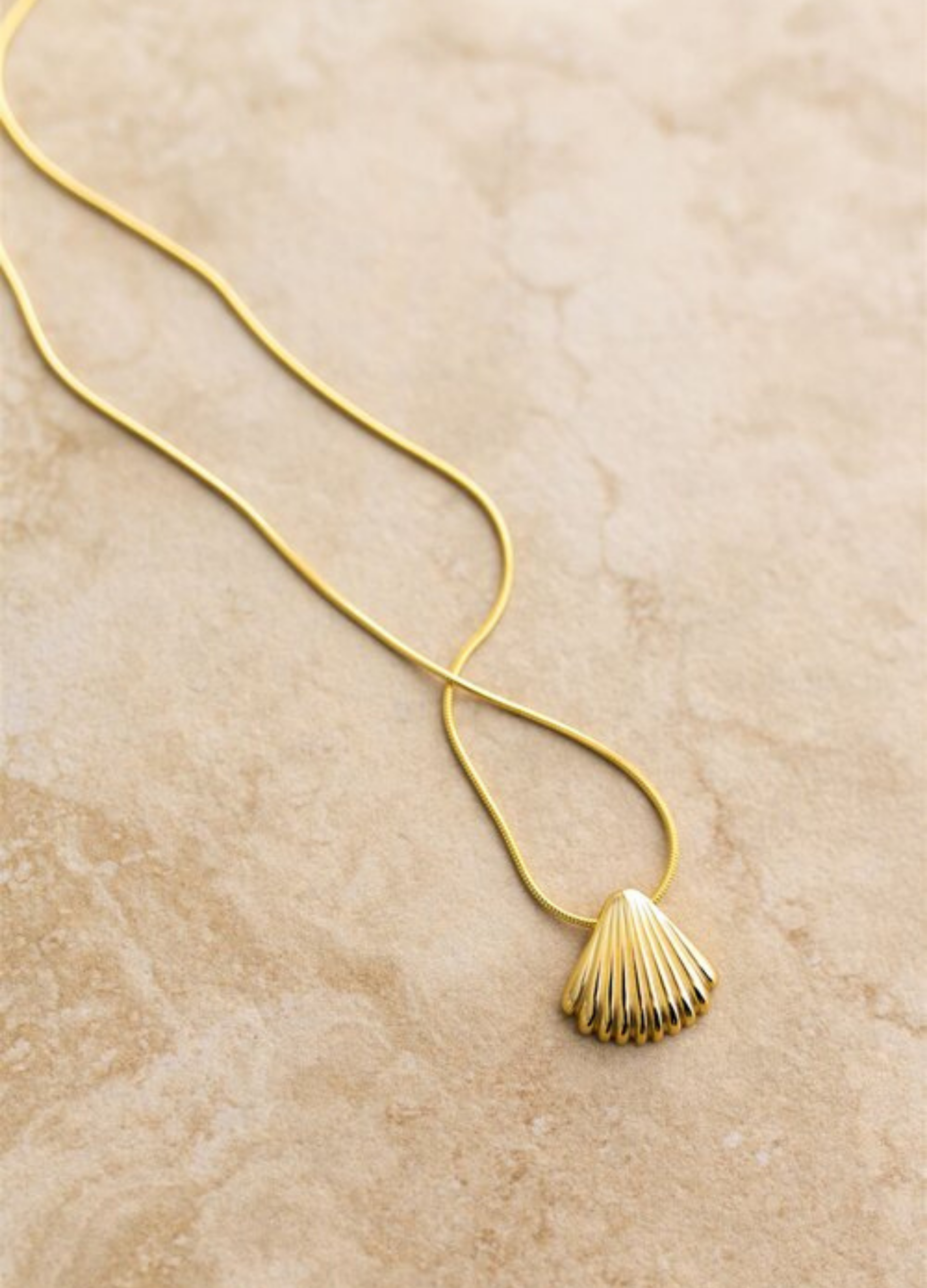 Shell pendant gold chain