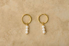 Gold earrings with pearl drops