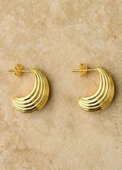 Gold Elodie Earrings from Indigo & Wolfe